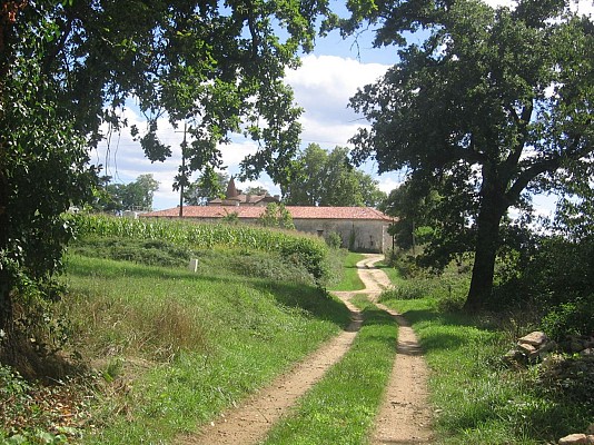 Château viticole