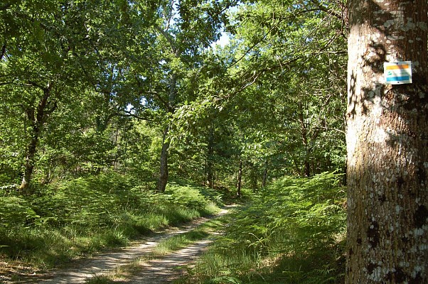 Chemin