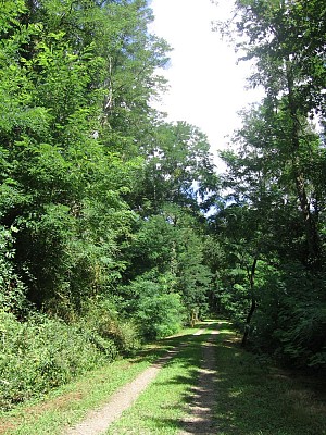 Voie Verte du Marsan et de l'Armagnac