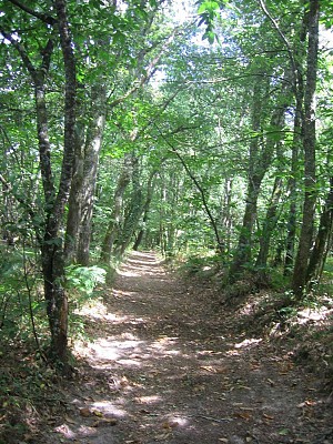 Chemin