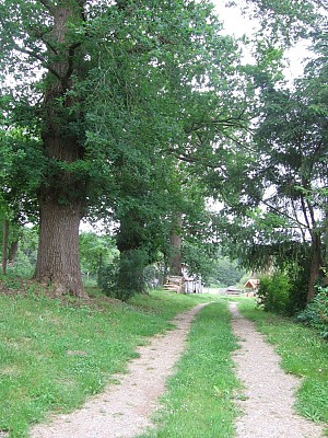 Chemin