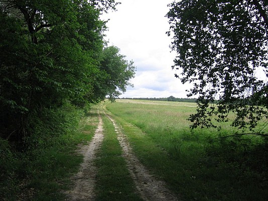 Chemin