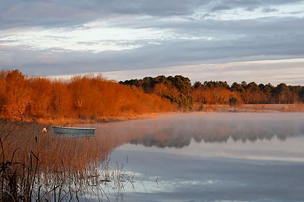 Lac