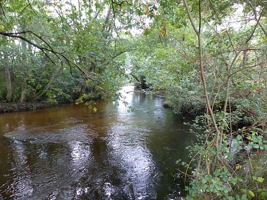 La Palue