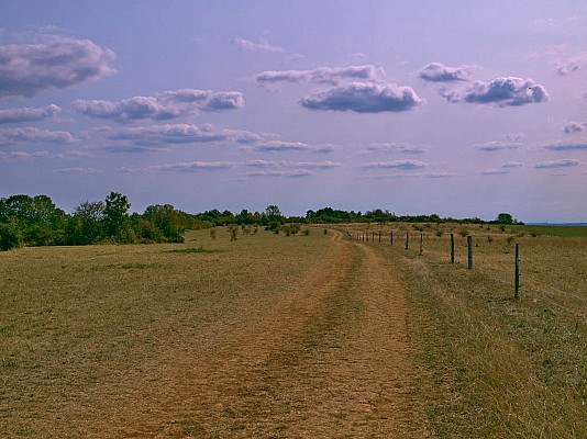 Le chemin sur la Côte de Delme