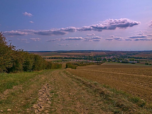 Vue sur Delme