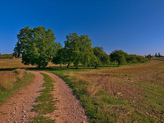 Les coteaux d'Albestroff