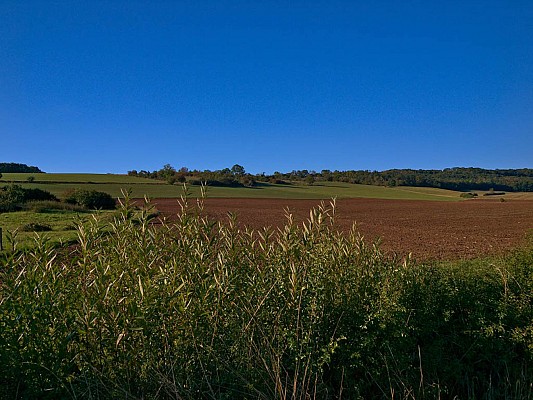 Entre vergers et forêts