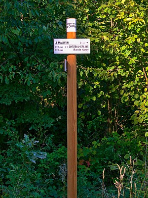 Entre vergers et forêts