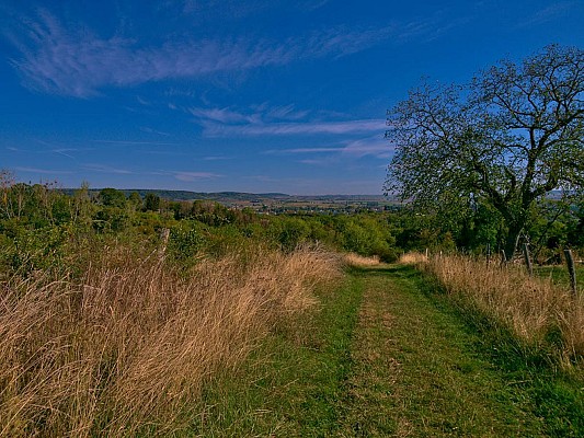 Entre vergers et forêts