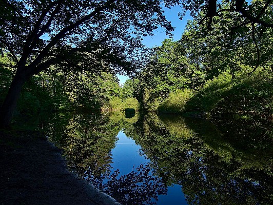 Warndtweiher
