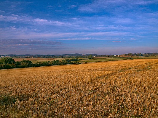 le Haut-Chemin