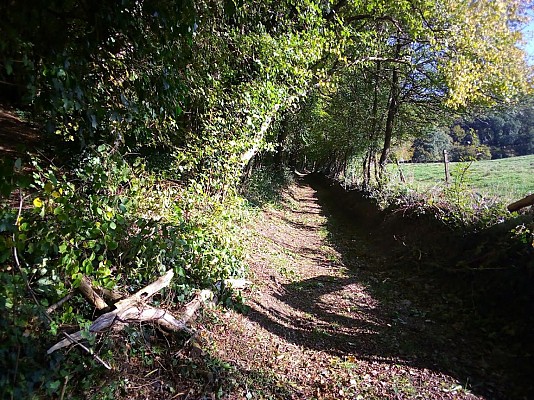 Circuit n°4: Chemin de Boscol