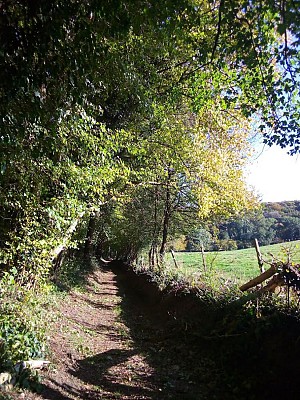 Circuit n°4: Chemin de Boscol
