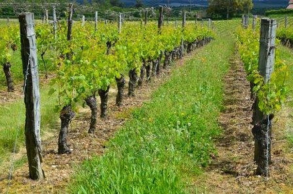 Buzet, un port entre Canal et Baïse