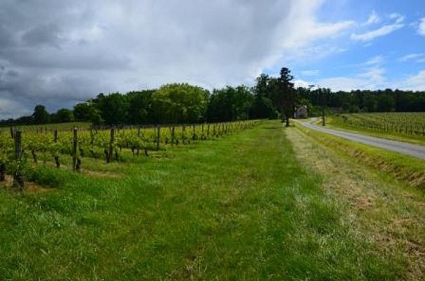 Buzet, un port entre Canal et Baïse