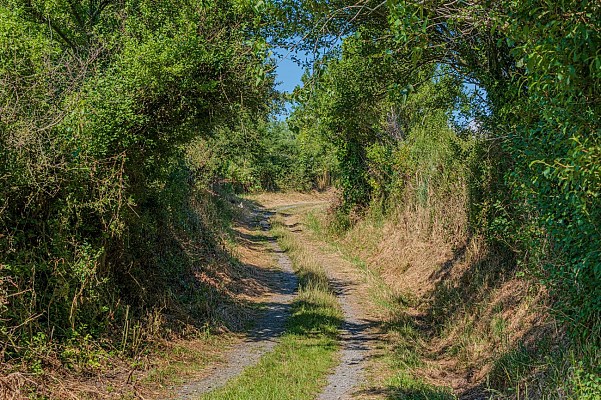 Circuit Les Moulins, les Ecuyers à Muneville-le-Bingard