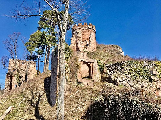 Rando 3 Frontières: Ribeauvillé et les 3 châteaux