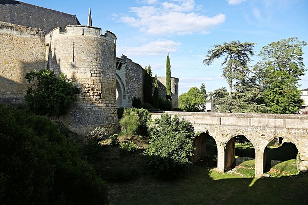 De SAUMUR à MONTREUIL-BELLAY en 1 jour