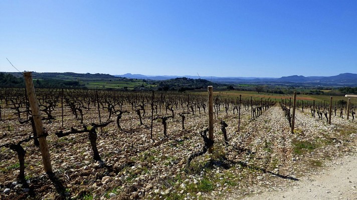 oenorando terroirs Gignac Aniane 3 @ Gisèle et Daniel Leboucher