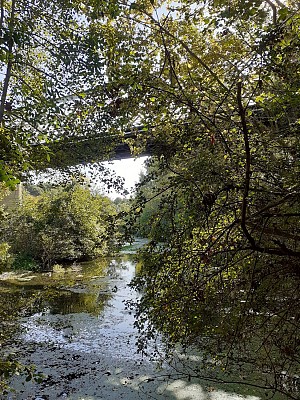 Orb sous le pont de Tabarka crédit Myriam Roussel