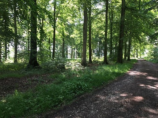 La Crapaudière