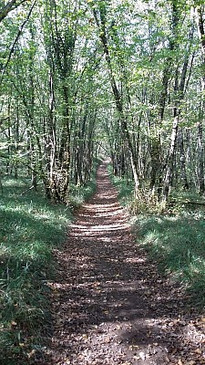 Photo3_ThézacVerdus_2017