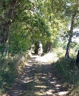 CailladellesCrouzillacCavalière