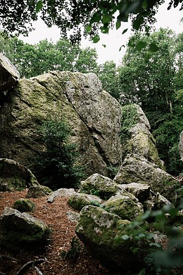 Du côté des Roches