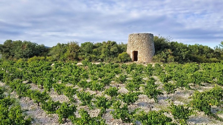 Ancien_Moulin_St-Jean-Minervois_-_E_Brendle