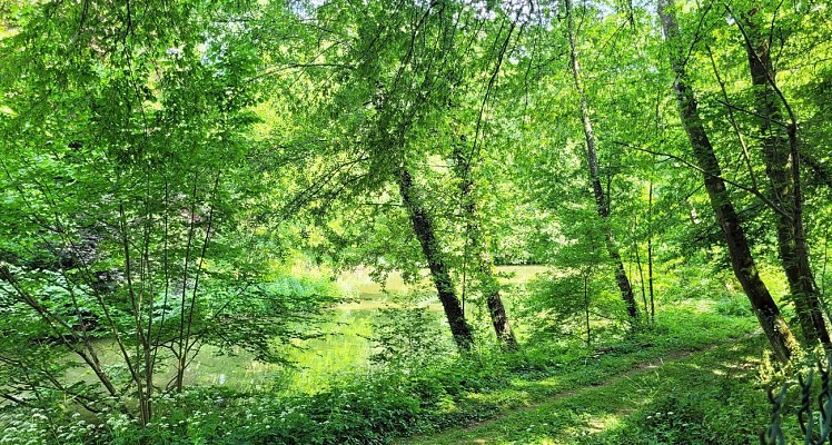 au printemps