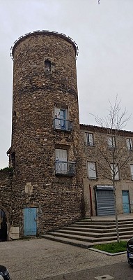 Grigny - Rando douce - Le long du Rhône, de Grigny à Vernaison