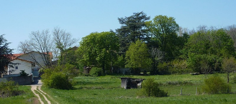 Irigny – Les deux forts - Rando santé