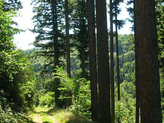Le rocher du Salut