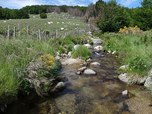 Ruisseau de Bayard