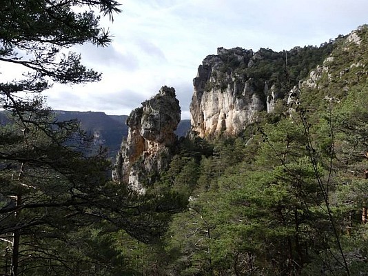 Francbouteille