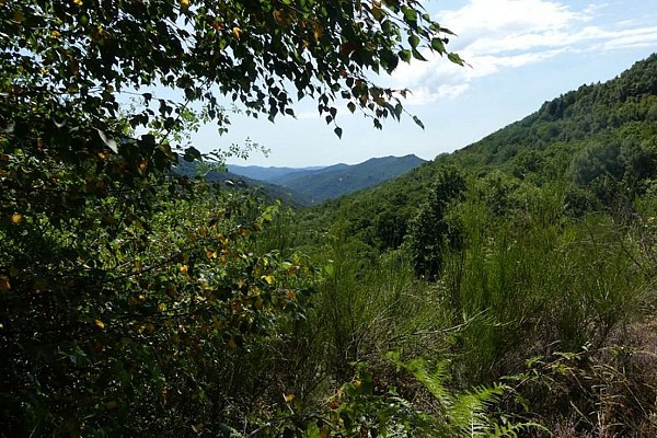 Vallée du Gardon St MArtin