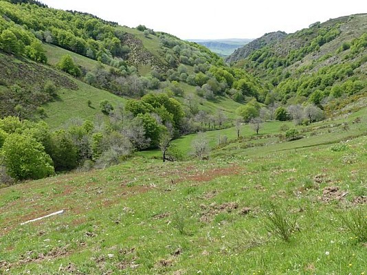 La vallée de la Jonte