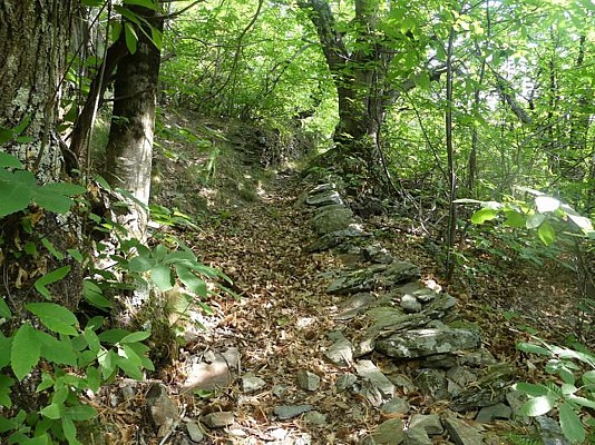 Vieux chemin au dessus de Chambonnet