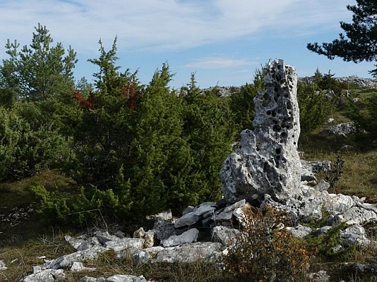 Land art naturel