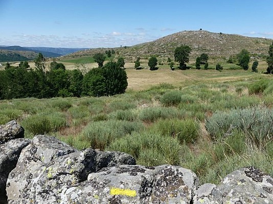 Plateau de Racoules