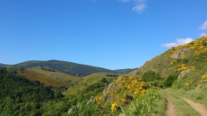 Vallée du Tapoul