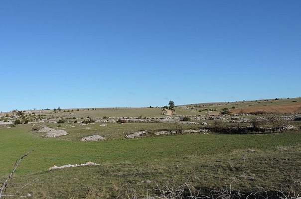 Grandes étendues du causse