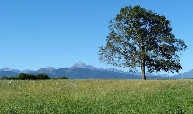 Le chemin des Tumulus