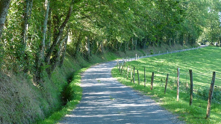 Le chemin des Tumulus