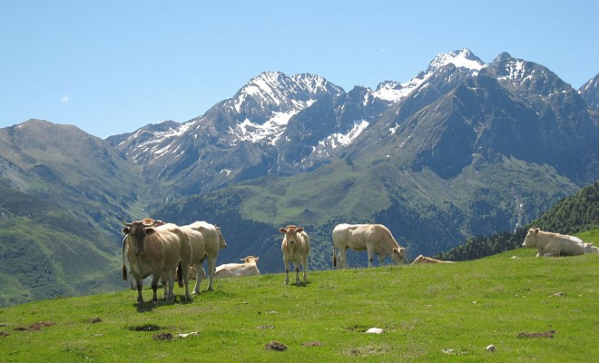 Les granges de Nabias