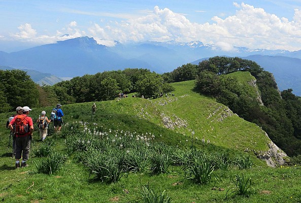Le Tourroc