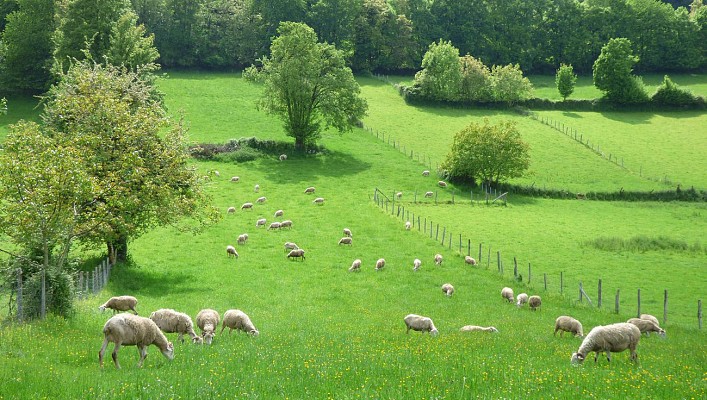 Le Tourroc