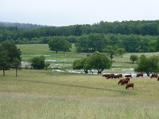 Le tour du marais de Cassan et Prentegarde