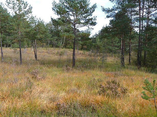 Le tour du marais de Cassan et Prentegarde